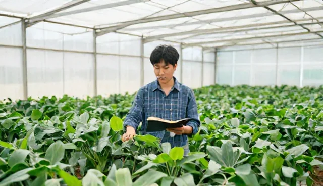 项目执行中常见问题及应对策略
